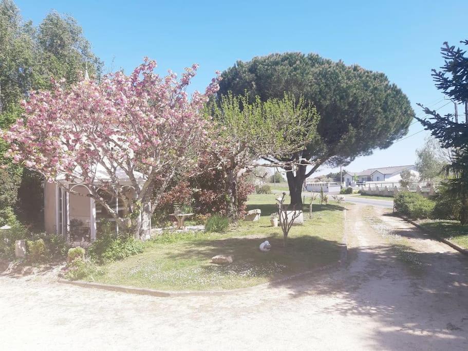 Gite La Burthe Monprimblanc Exterior photo